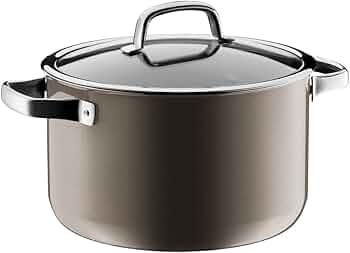 シュテルン　ドイツ　キャセロール　両手鍋　ステンレス　24ｃｍ 楽天市場】※入荷未定【公式】 フィスラー 両手鍋 24cm